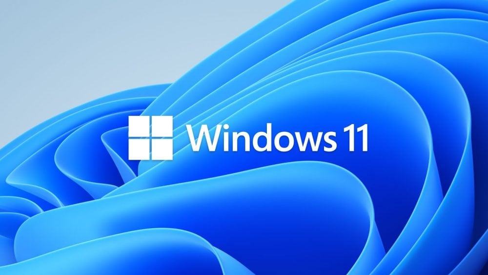 Windows 11 startup screen with bloom-style blue background and Windows logo